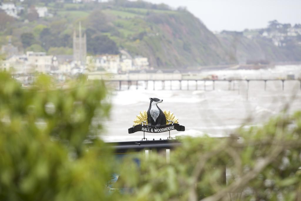 The Ness Bed and Breakfast Teignmouth Exteriör bild
