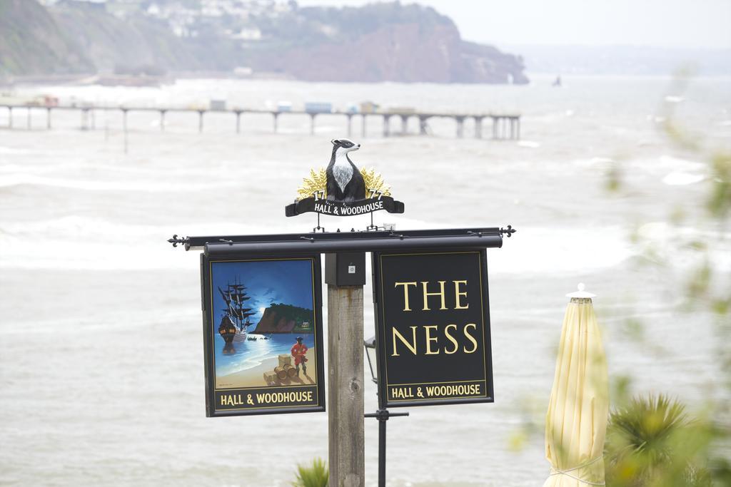 The Ness Bed and Breakfast Teignmouth Exteriör bild